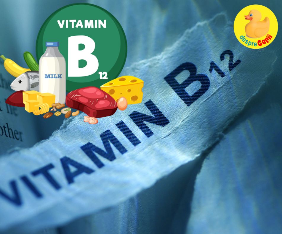 Deficienta de vitamina B 12 si efectele ei asupra organismului